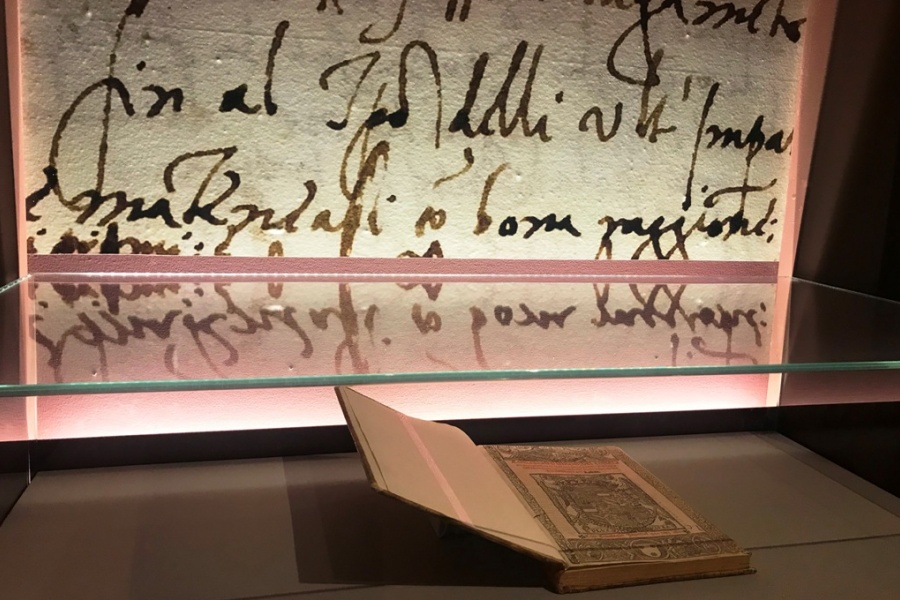 Castiglione possedeva, per l’epoca, una biblioteca che ammontava a ben 184 volumi (alcuni manoscritti), a cui si aggiungono altri 40 libri riportati a Mantova dalla Spagna e affidati alla madre dopo la morte dello scrittore.
